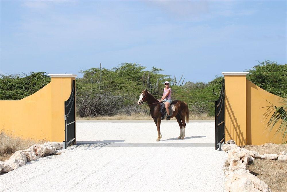 Wanapa Lodge Bonaire Exterior photo
